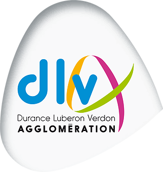 logo-DLV