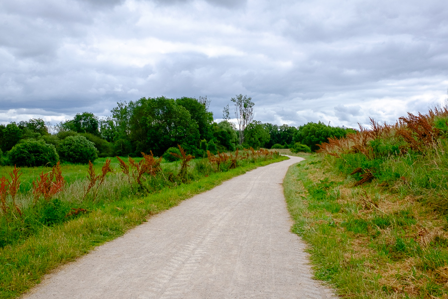 Clean Walk dans l’Essonne – No Plastic Challenge