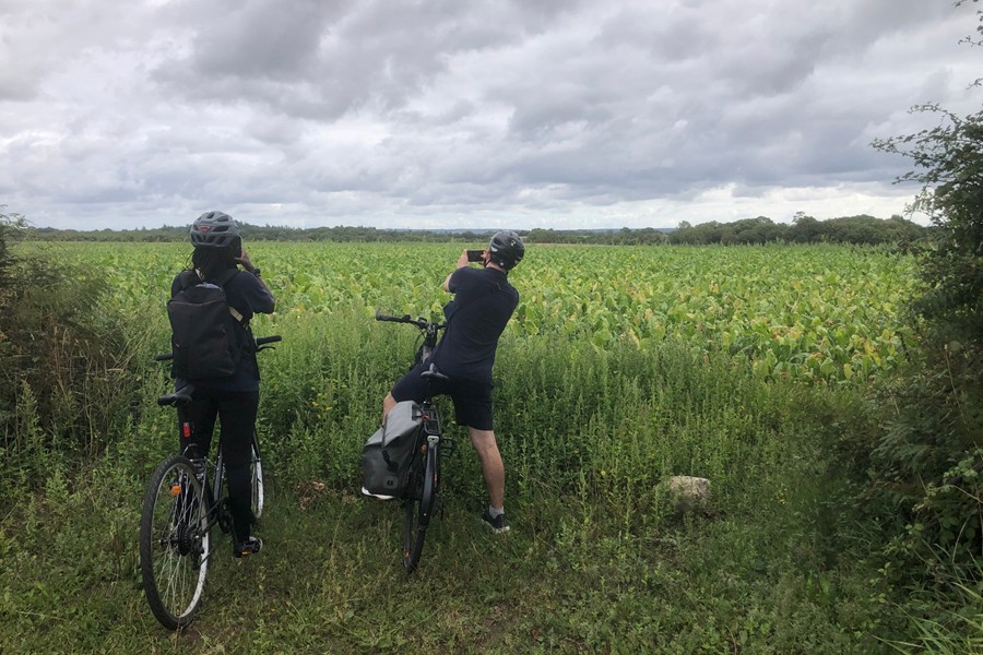 03_Plougoumelen_900x600px