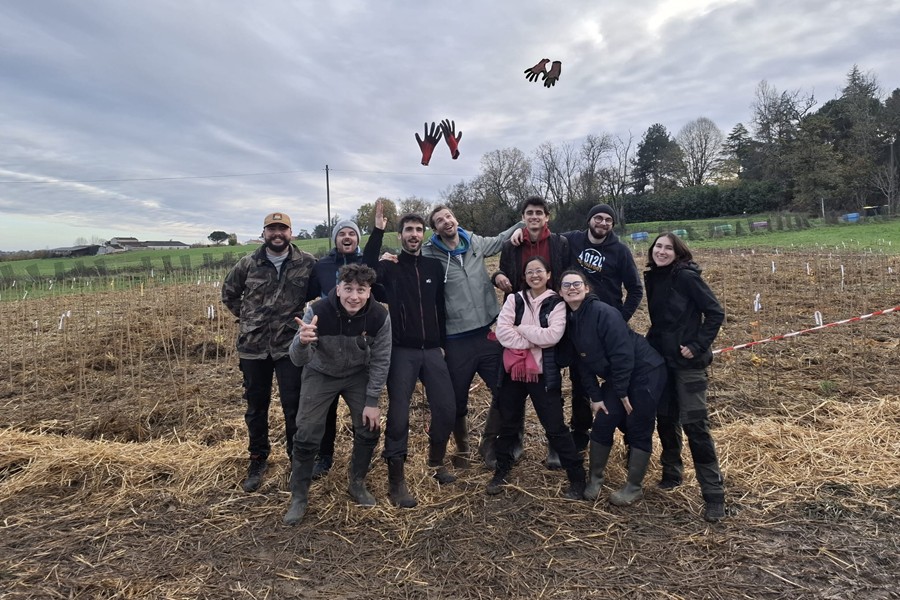 02-Groupe_Bordeaux-MiniBigForest-900