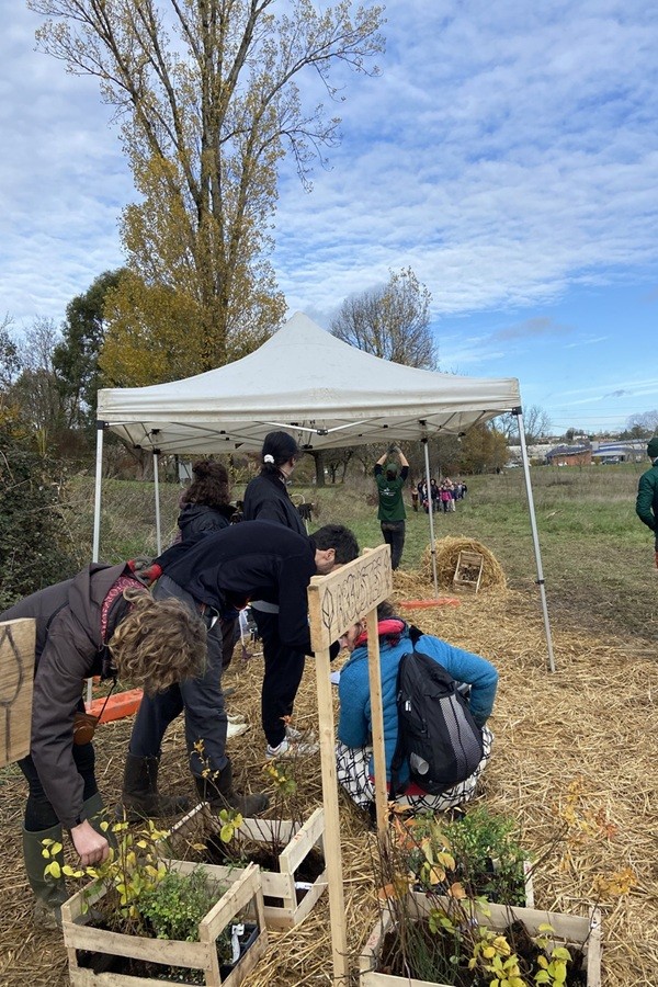 05-Choix-essences_Bordeaux-MiniBigForest