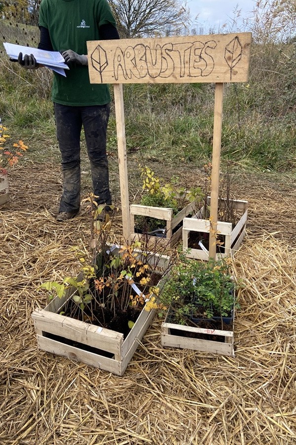 07-Choix-essences_Bordeaux-MiniBigForest