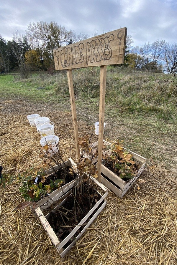 09-Choix-essences_Bordeaux-MiniBigForest