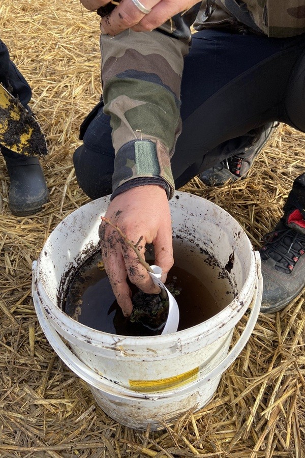 11-bain-racines_Bordeaux-MiniBigForest