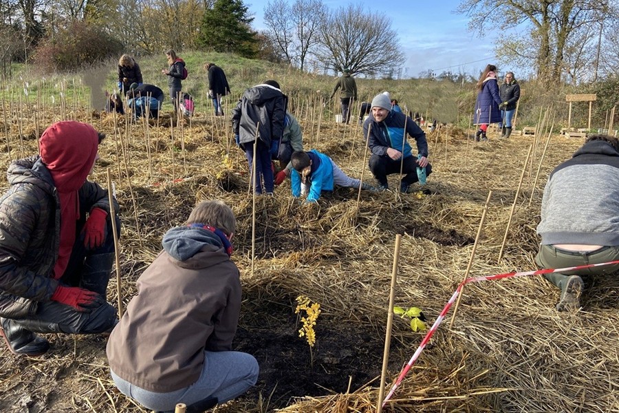 12_Plantation_Bordeaux-MiniBigForest-900