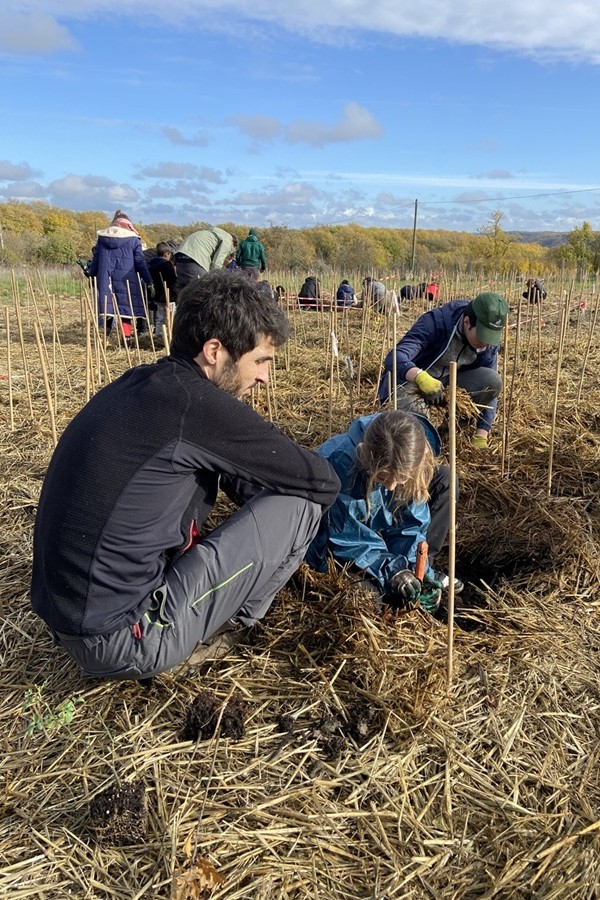 14_Plantation_Bordeaux-MiniBigForest-900