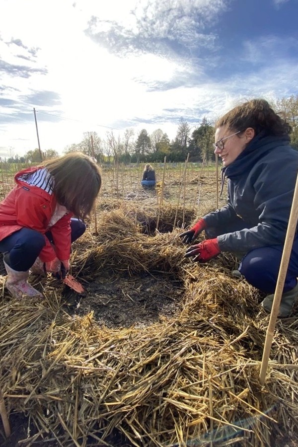 16_Plantation_Bordeaux-MiniBigForest-900