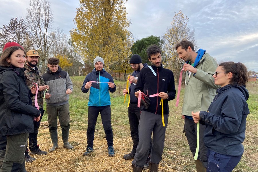 17_Ruban_Bordeaux-MiniBigForest