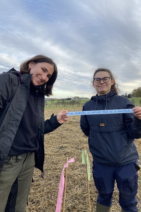 19_Ruban_Bordeaux-MiniBigForest