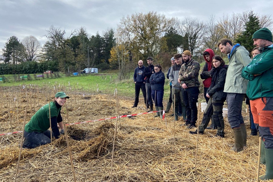 23_Fin_Bordeaux-MiniBigForest