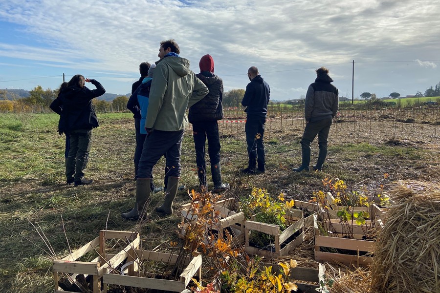 24_Fin_Bordeaux-MiniBigForest