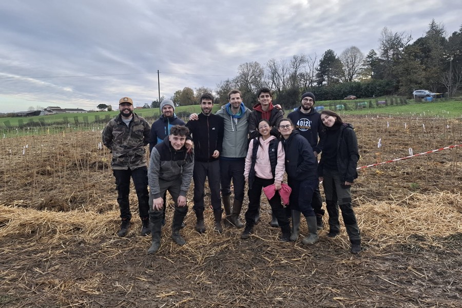 Vignette_Bordeaux-MiniBigForest